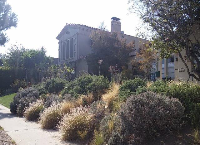חצר קדמית אלטרנטיבית בלוס אנג'לס במקום מדשאה עשבוניים ותבלינים