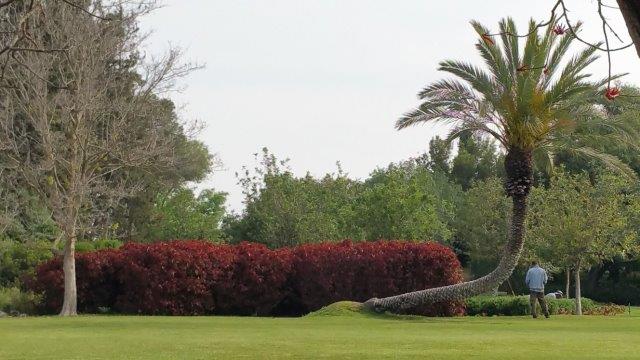 ××§×××¤× ×¦×××× :×¨×× ××ª ××§×¡, ××¨××ª ×× ×××