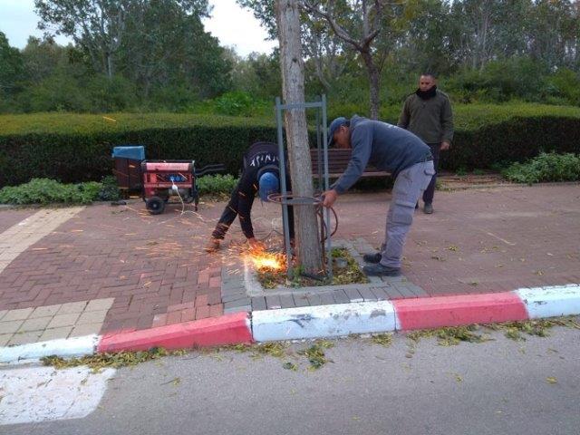 ×××¦××ª ××× × ××¨×× ××¢×¦×× ×©××ª××¡×¡× ×××¨×¦×××