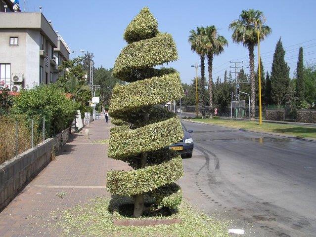 ××¡×¤××¨×× ×××§××× ××©×¨××