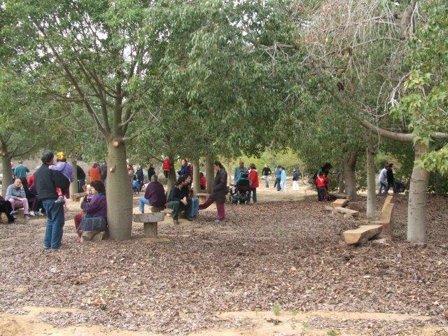 חורשת הברכיכיטונים חיפוי