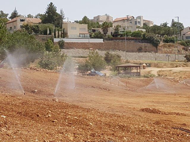 מערכת ההשקיה בהכנות לשתילה