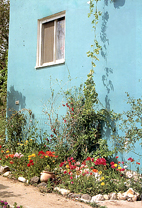 קיר בצבע טורקיז