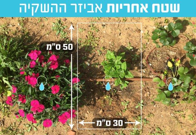 ×××××¨ ××©×§×× ××¢×¨×××ª ××¨×§××ª