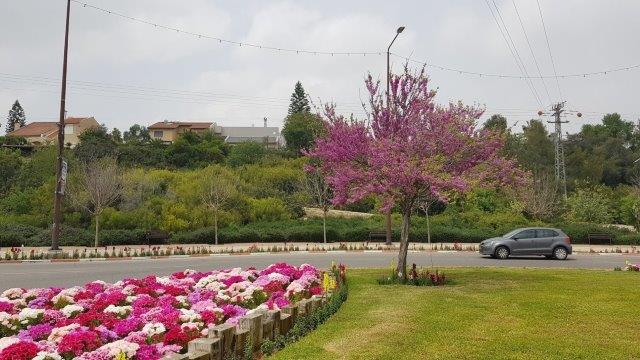 כל עוד עיריות ומועצות רוצות להרשים את התושבים בהשקעה בהם, יהיו עונתיים בכיכרות. השאלה היא המינון.