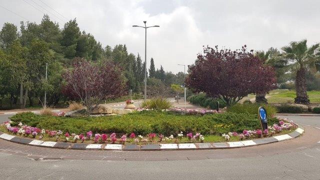 מחרוזת פרחי גודטיה בהיקף, כתמי פריחה צהובים על רקע ירוק, ועצי שזיף המשתלבים ברקע החורש הטבעי הסמוך ××ר××ת פר×× ×××××× ××××§×£, ×ת×× ×¤×¨××× ×¦××××× ×¢× ×¨×§×¢ ×ר××§, ××¢×¦× ×©×××£ ××שת×××× ×רקע ×××רש ××××¢× ×ס×××