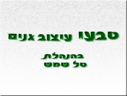 טבעי עיצוב גינים-טל שמש