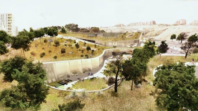 הדמיה: קימל אשכולות