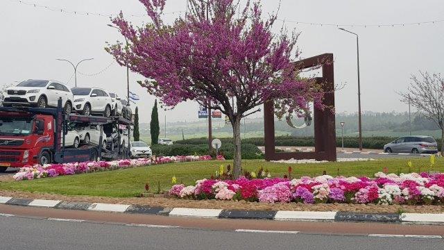 פריחת כליל החורש מוסיפה עוד גוון ורוד לפרחי הגודטיות ומבט מרחבי לפסל פר××ת ×××× ×××רש ××ס××¤× ×¢×× ×××× ×ר×× ×פר×× ×××××××ת ×××× ×ר××× ×פס×