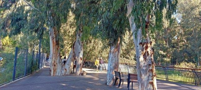 מצב הגדה לאחר העבודות, צילום רות מעוז