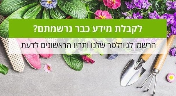 הרשמה לניוזלטר פפירוס