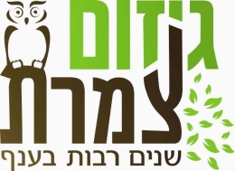 גיזום צמרת