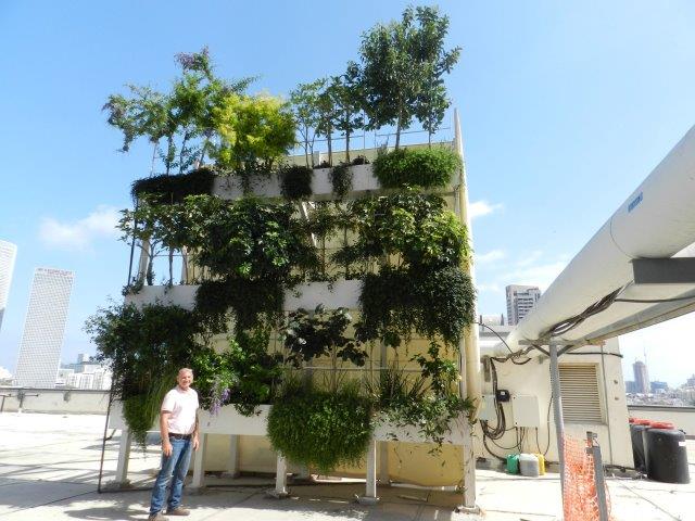 הכנות לבדיקה מקדמית של גידול מגוון צמחים גדול על גג בניין צ'קפוינט