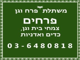 משתלת פרח וגן