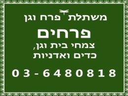 משתלת פרח וגן