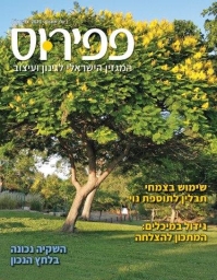 פפירוס גיליון יולי אוגוסט 2021