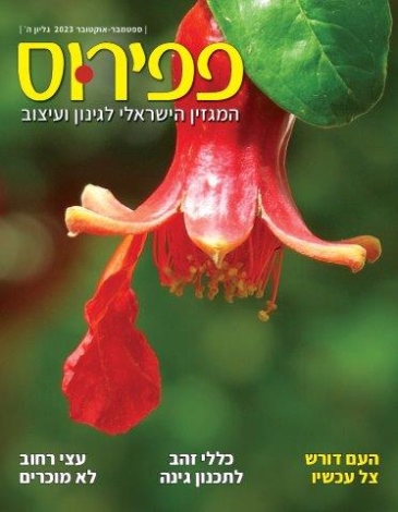 פפירוס ספטמבר- אוקטובר 2023