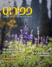 פפירוס גיליון מרס אפריל 2021