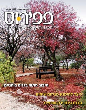 גיליון נובמבר-דצמבר  2020