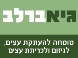 גיא ברלב התמחות בגיזום