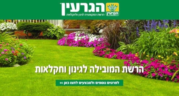 הגרעין הרשת המובילה לגינון