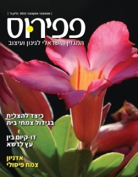 פפירוס גיליון ספטמבר 2021