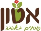 אטון משתלה