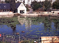 האגם והמסעדה בכניסה לגן. צילום: נורית חרמון