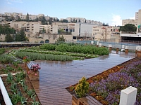 הגג הירוק בבית ספר אור תורה בירושלים, אחרי יום גשום