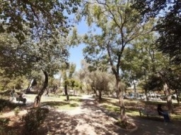 גן סוקולוב ירושלים