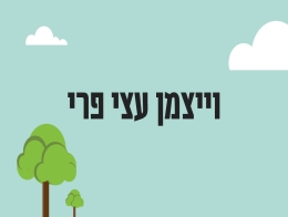 ויצמן עצי פרי והרכבות