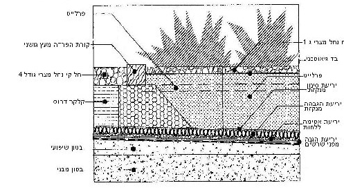 תרשים - תכנון גינת גג בקונסוליה
