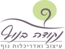 בנימין זלצר נקודה בנוף