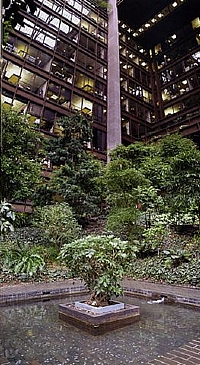פטיו קלאסי באווירה מודרנית בבנין "קרן פורד" בניו יורק
