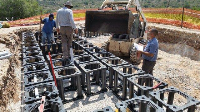 רחבת התותים צילום : ליאור הרשקוביץ