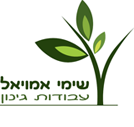 שימי אמויאל